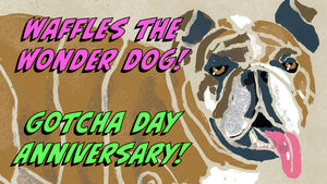 Newest Youtube Vid! Waffles the Wonder Dog Gotcha Day Anniversary!