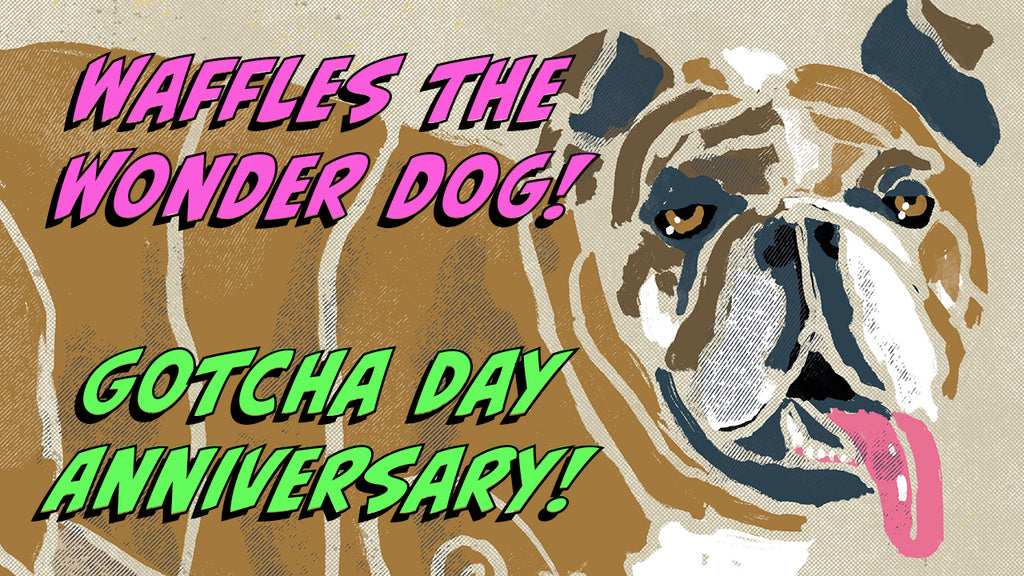 Newest Youtube Vid! Waffles the Wonder Dog Gotcha Day Anniversary!